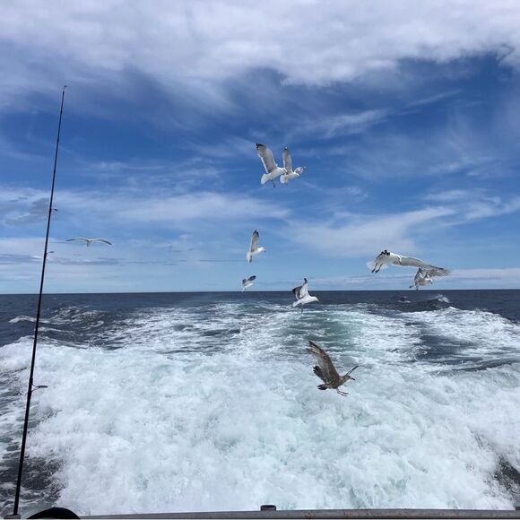 14K Mother and Baby Humpback Whale Pendant: A Symbol of Love and Artistry - Picture 4 of 4